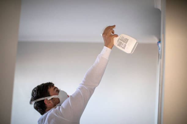 Best Black Mold Remediation in Ohkay Owingeh, NM