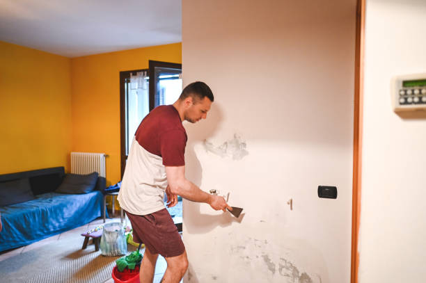 Best Post-Flood Mold Remediation in Ohkay Owingeh, NM